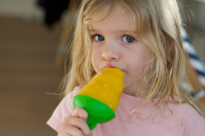 Immune Boosting Popsicles